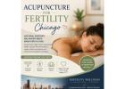 Best Chiropractic Fertility Doctor Chicago