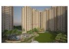  Nirala Estate | Luxury Flats for Sale in Noida Extension