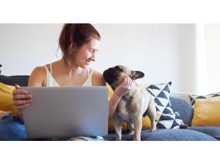 Over 40 and looking for additional income you can make online?