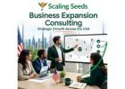 Your Trusted Partner for US Market Growth
