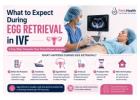 Signs of Female Infertility Explained | Ferti.Health