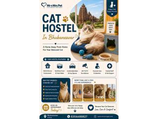 Cat Hostel