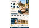 Cat Hostel