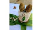 Namibia Reunion lost love spells +256793306060 mantra Love spells solve Family disputes