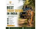 Best Tiger Safari in India – Guided Wildlife Tours & Safari Packages 