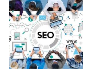 Organic Search Engine Optimization Services Experts
