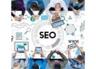 Organic Search Engine Optimization Services Experts