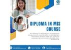 MIS Course Master Data Management And Reporting Skills