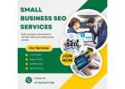 Small Business SEO Services 