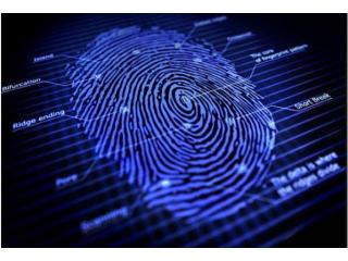 Livescan Fingerprinting Cost