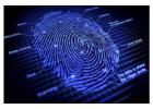 Livescan Fingerprinting Cost