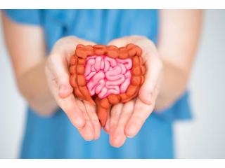 Trusted Digestive Care by Best Gastroenterologists in Ludhiana