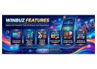 Winbuz Features Explained: Complete Guide