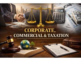 Why Choose an Advocate for Commercial Suits?