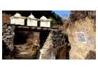 When is the Best Time for Manaslu Circuit Trek?
