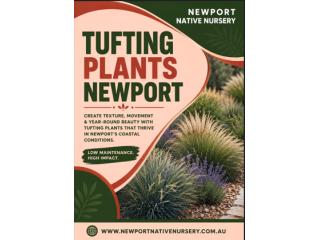 Tufting Plants in Newport