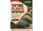 Best Tufting Plants Newport for Modern Garden Designs