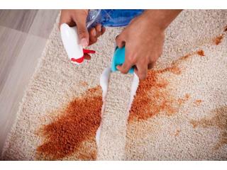 Professional Carpet Cleaning in Southeastern Michigan