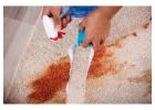 Professional Carpet Cleaning in Southeastern Michigan