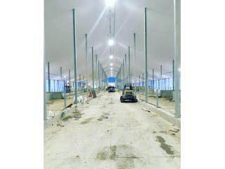 Explore the Durable Horse Stall Wall Panels Available on Duramax