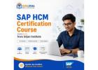 Join SAP HCM Certification Course for a Career in SAP HR