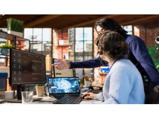 Systems Integration Consulting