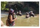 Affordable Tambopata National Reserve Packages by Tree House Inn