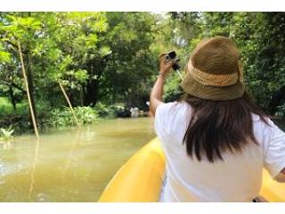 Experience the Best Tambopata Jungle Tour 3 Days with Tree House Inn