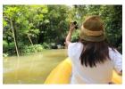 Experience the Best Tambopata Jungle Tour 3 Days with Tree House Inn