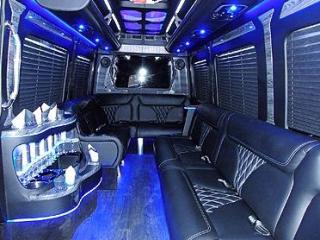 Fleet of party buses Queens