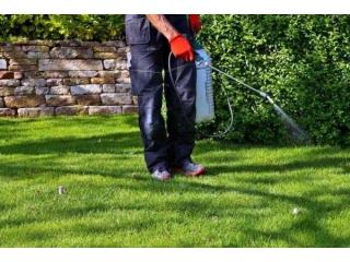 Get Thick, Healthy Grass with Saginaw Lawn Services