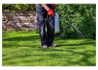 Get Thick, Healthy Grass with Saginaw Lawn Services 