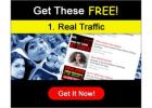 Free List Management System - SendSteed