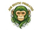 About Joe Exotic Primates: Passion, Ethics, and Expertise