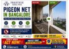 Expert Pigeon Net Solutions Across Bangalore