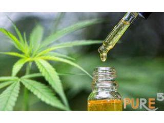 Reliable Extraction Solutions for Processing