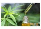 Reliable Extraction Solutions for Processing