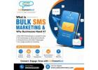 Professional Bulk SMS Services in Delhi NCR for Companies