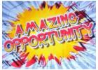 Earn $100 Per Sale Without Talking to Anyone!