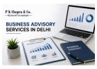 Expert Business Advisory Services in Delhi for Financial and Operational Excellence