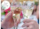 Senses at Play Trusted Photographer in Key West for Timeless and Meaningful Photography