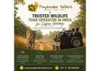 Trusted Wildlife Tour Operator in India for Safari Holidays 