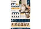 Cat Grooming