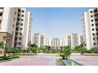 Amrapali Golf Homes Noida Extension | Modern Flats with Premium Lifestyle