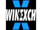 Explore Sports Content Online with Maxwinexch