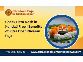 Check Pitra Dosh in Kundali Free | Benefits of Pitra Dosh Nivaran Puja