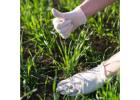 Get Water Abundant Agricultural Land In Bangalore For Sale Equipped With Active Recharge Networks