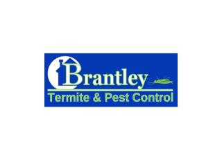 Reliable Termite Control Company