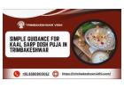 Simple Guidance For Kaal Sarp Dosh Puja In Trimbakeshwar