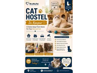 Cat Hostel